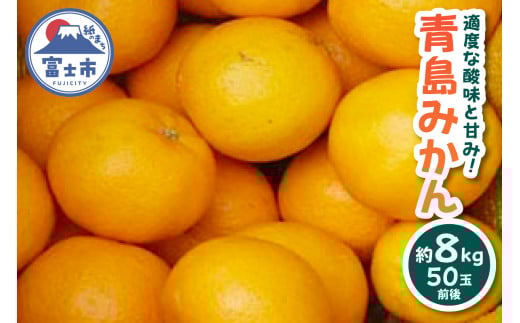 青島みかん 約8kg 50玉前後 期間限定 高糖度 みかん 蜜柑 フルーツ 果物 静岡県 富士市産 [sf001-003]