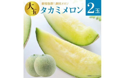 メロン めろん 大玉【タカミメロン】緑肉　2玉入り(5kg以上) ギフト 鉾田 果物 人気 おすすめ 贈答 茨城 お返し 先行予約 スイーツ 送料無料 味 茨城県 還元率 青肉 フルーツ めろん 鉾田市 デザート くだもの お取り寄せ 甘い ジューシー 期間限定