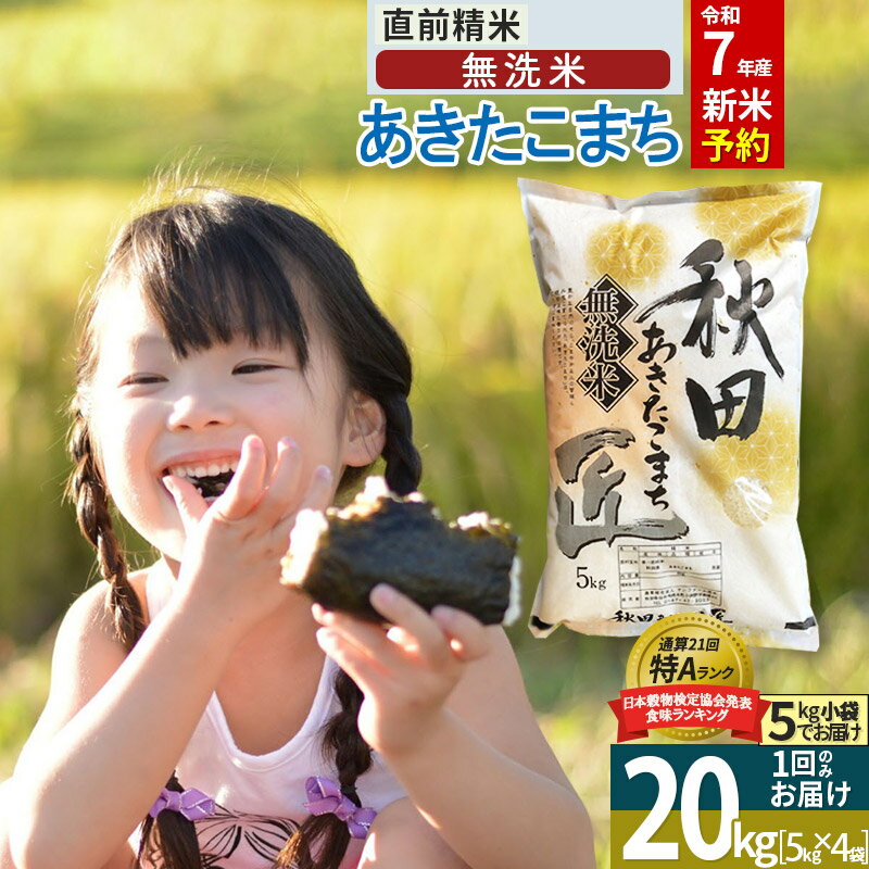 【ふるさと納税】【無洗米】※R7新米予約※ 秋田県産 あきたこまち 20kg (5kg×4袋) 令和7年産 お米 新米