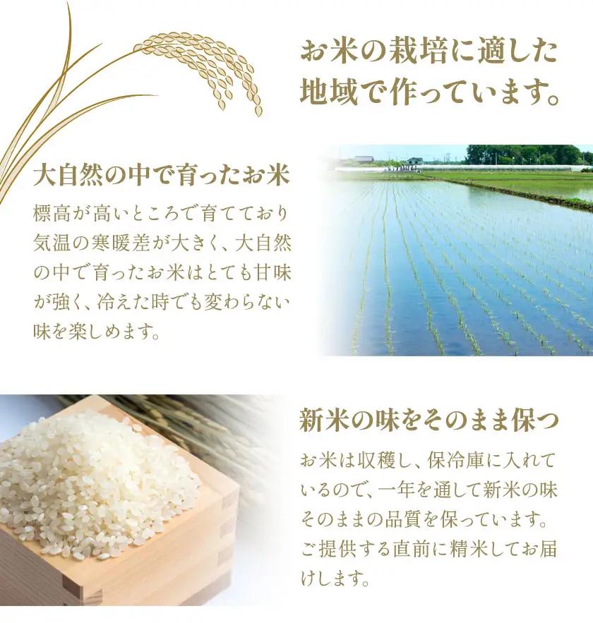 米 お米 こめ 荒木さんちのお米 5kg 荒木農産《30日以内に出荷予定(土日祝除く)》