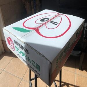 園主おススメ!　旬のりんご詰め合わせ　【家庭用】　約5キロ　おまかせ4種食べ比べ_果物・フルーツ りんご  リンゴ 林檎_【1568467】