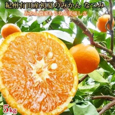 【2027年4月中旬より発送】初夏のみかん　なつみ5kg【日高町】【配送不可地域：離島】【1216978】