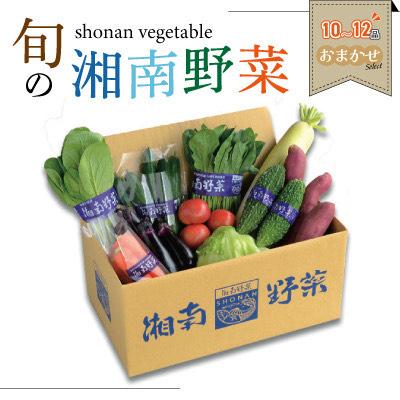 ふるさと納税 藤沢市 旬の湘南野菜おまかせセット　