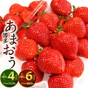 【ふるさと納税】福岡県産 博多あまおう 1パック約280g入り 〈選べる〉4パック(合計約1.12kg) または 6パック(合計約1.68kg) いちご フルーツ 旬 果物 あまおう 苺 果汁 冷蔵 国産 九州 【2025年1月下旬から3月下旬発送予定】