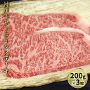 【ふるさと納税】神戸牛サーロインステーキ 200g×3枚　【牛肉・サーロイン・お肉・ステーキ】