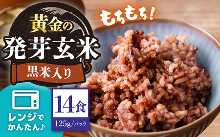 先行予約 パックご飯 玄米 125g×14食 [CGV002]