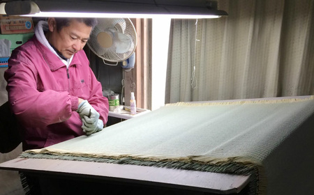 佐賀県産 い草 フローリング 置き畳 ちょこんと 12枚セット 佐賀県/株式会社WT（青畳工房）[41AAAX007]