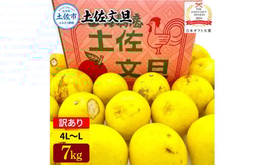 日本ギフト大賞受賞 園主こだわり土佐文旦 訳あり(4L～L）7kg 7キロ 文旦 土佐文旦 ワケアリ ぶんたん ぼんたん フルーツ 果物 柑橘 みかん 蜜柑 家庭用 自宅用 高知 土佐 国産 常温