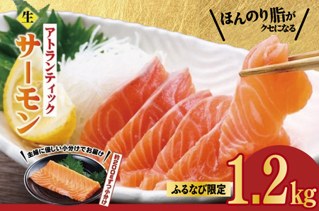 【スピード発送】アトランティックサーモン 1.2kg ふるなび限定 サーモン FN-Limited-PR