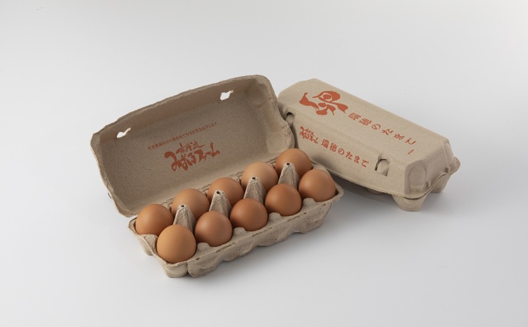 京都 こだわり卵 赤たまご 約160個 10kg たまご 濃い 玉子  玉子焼き 卵焼き オムレツ 卵かけご飯 ゆで卵 鶏卵 卵黄 ※北海道・沖縄・その他離島は配送不可 [018MF001]