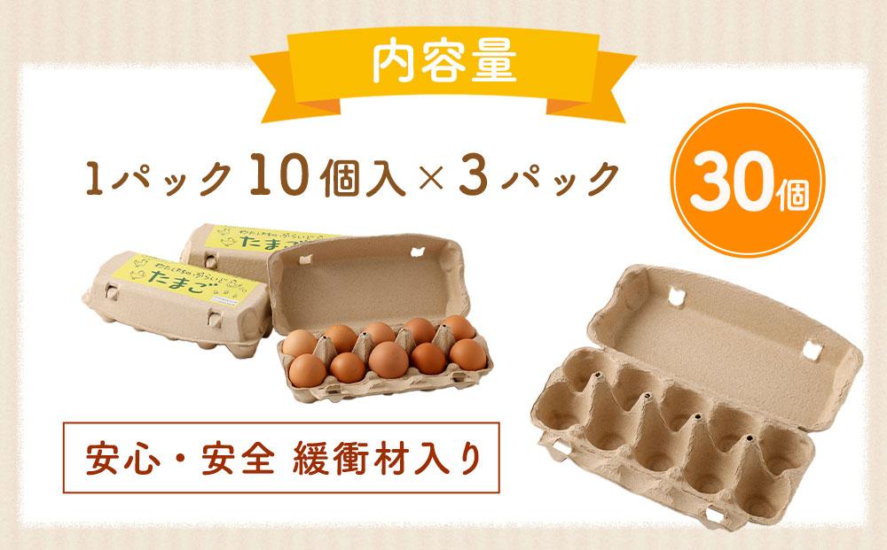 【食べチョクアワード2025 畜産部門 1位の日本一のたまご】単なる平飼いではない究極の卵『わたしたちのぷらいどたまご』3パック（30個）セット