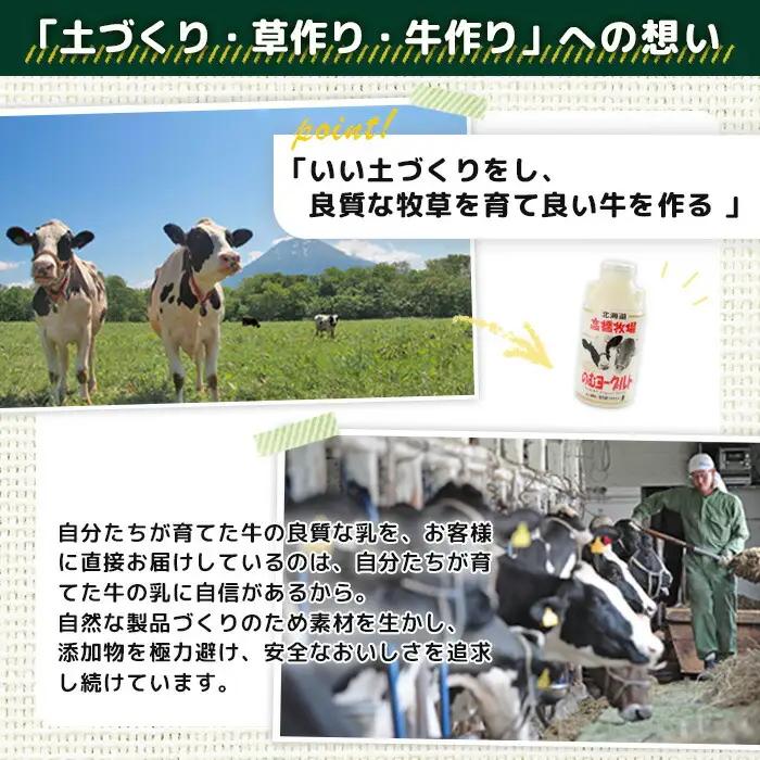 ニセコ高橋牧場ミルク工房 のむヨーグルト（大）６本Dセット【0310901】