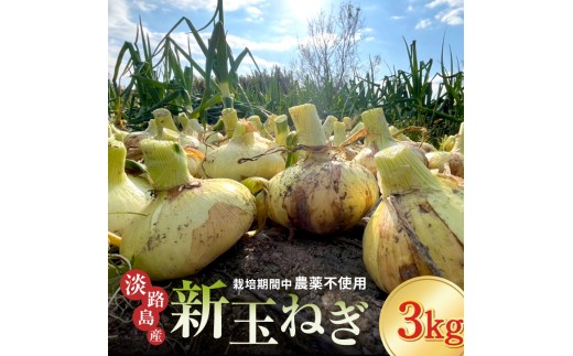 
                  淡路島 新玉ねぎ 3kg 玉ねぎ 新玉 タマネギ 淡路島産 3キロ スープ ハンバーグ 肉じゃが 野菜 サラダ 淡路島もぐもぐファーム 淡路 洲本市 [№5395-0512]
                