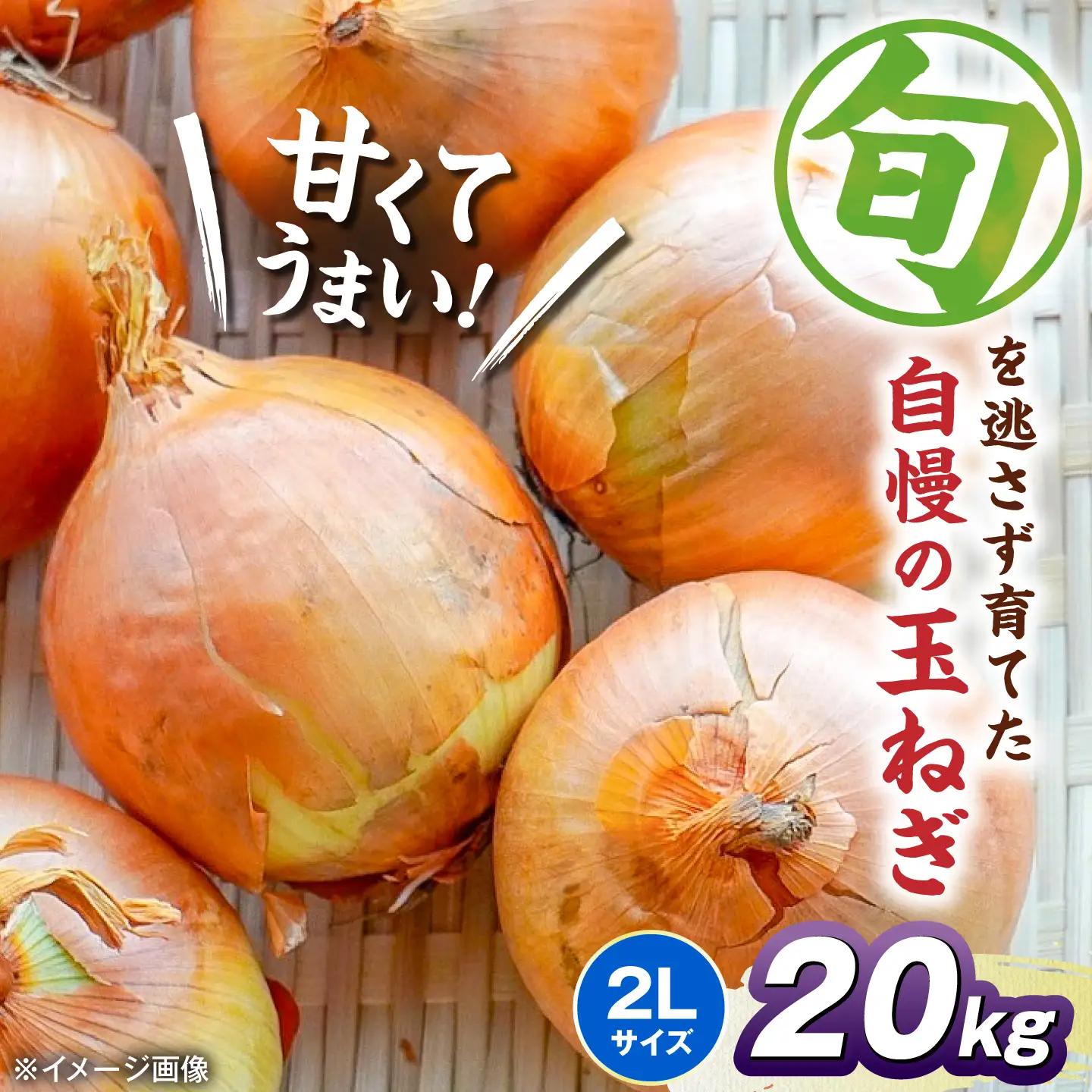 【先行予約】玉ねぎ20kg（2Lサイズ）[AQDZ016]玉ねぎ