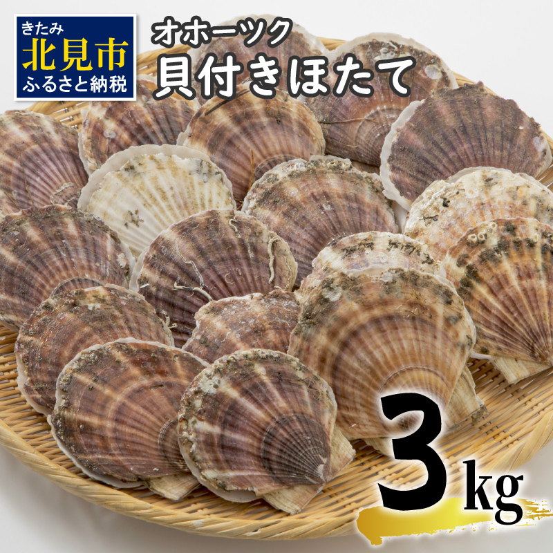 【予約：2024年3月下旬から順次発送】オホーツク貝付きほたて 3kg(15枚～25枚)( 魚介 貝 ホタテ 帆立 殻付き 貝柱 贈答 ギフト 贈り物 BBQ )【031-0003-2024】