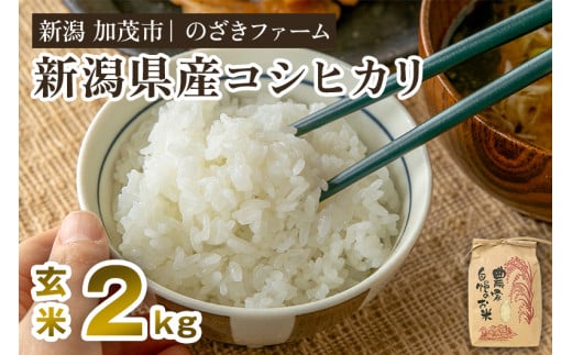 【令和7年産新米先行予約】新潟県産コシヒカリ 玄米2kg（2kg×1袋）（従来品種） 《9月下旬から順次出荷》 新潟米 お米 こめ コメ ライス ご飯 加茂市 のざきファーム