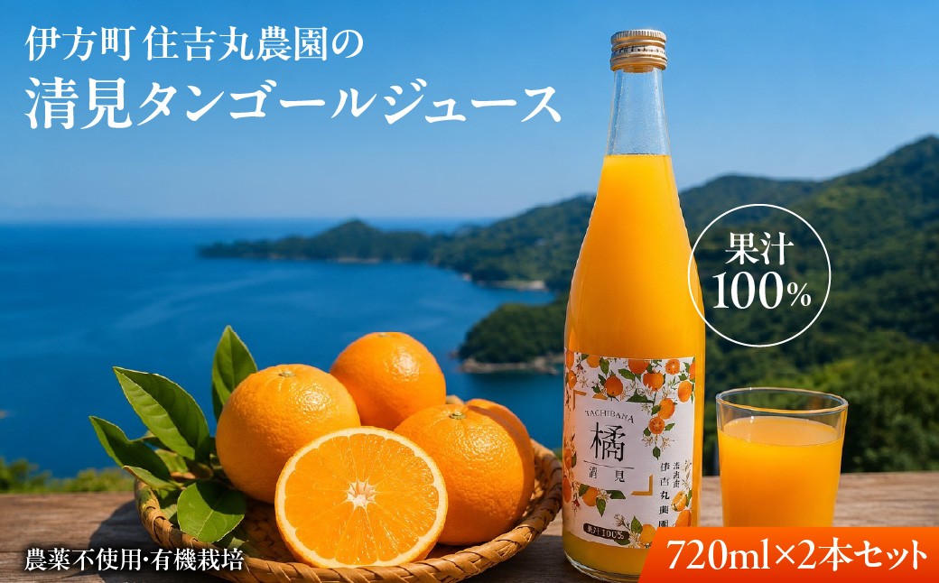 
                  清見タンゴールジュース 720ml×2本【ふるさと納税 人気 おすすめ ランキング 清見タンゴール ジュース みかん ミカン オレンジ 無農薬 有機栽培 佐田岬半島 農家直送 住吉丸農園 愛媛県 伊方町 送料無料】 IKTBN001
                