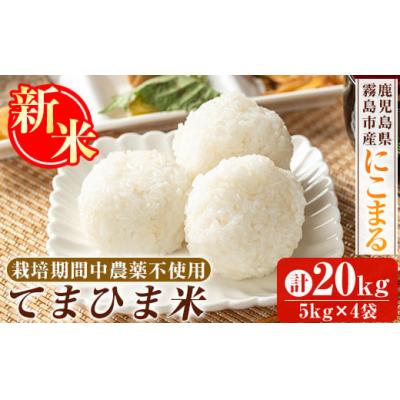 ふるさと納税 霧島市 先行受付《令和7年産新米》てまひま米(品種:にこまる) (計20kg)【末蜜農園】K-198-D