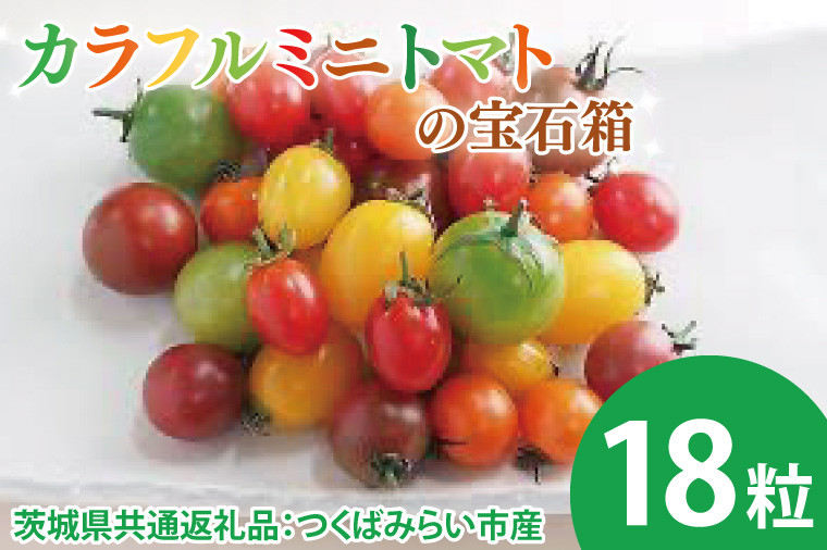 
            【先行予約】カラフルミニトマトの宝石箱 18粒（茨城県共通返礼品：つくばみらい市産）※2026年1月上旬～3月下旬頃に順次発送予定（CD092）
          