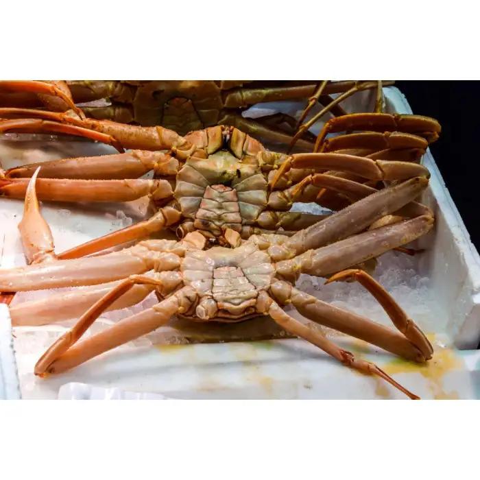 .ご自宅用　活訳あり松葉ガニ　お任せ大満足の5kgセット  | カニ 松葉ガニ 活 美味しさに 訳あり 大容量 【着日指定不可】※2026年11月上旬～2027年3月下旬頃に順次発送予定