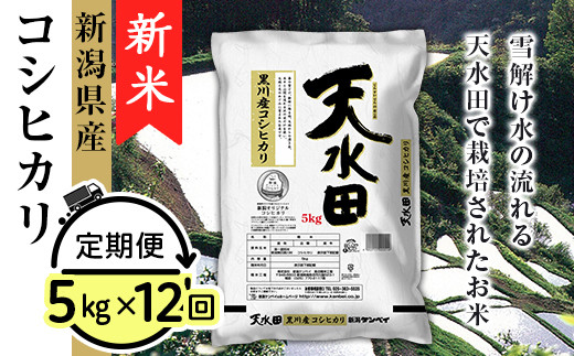 27-5ZB【12ヶ月連続お届け】新潟県黒川産コシヒカリ5kg【天水田】