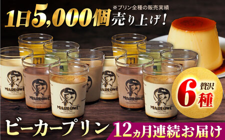 【全12回定期便】葉山ビーカープリン パーティーアソート セット 6種×2個 詰め合わせ（カスタードプリン・かぼちゃプリン・抹茶プリン・北海道フレッシュクリームプリン・エスプレッソプリン・チョコレートプリン）【マーロウ】 [AKAF049]