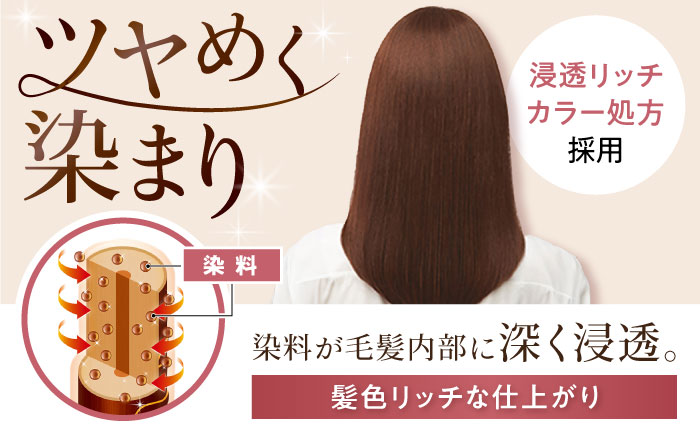 シエロ ヘアカラークリーム ダークピュアブラウン 3個 / CIELO 白髪染め セルフカラー ヘアカラー / 瀬戸市 / ホーユー株式会社 [BBEL005] 5P ダークピュアブラウン