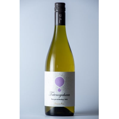 【ワインコンクール受賞】Domaine Beau 「南砺市産のぶどう」立野原ワイン5本セット【配送不可地域：離島】