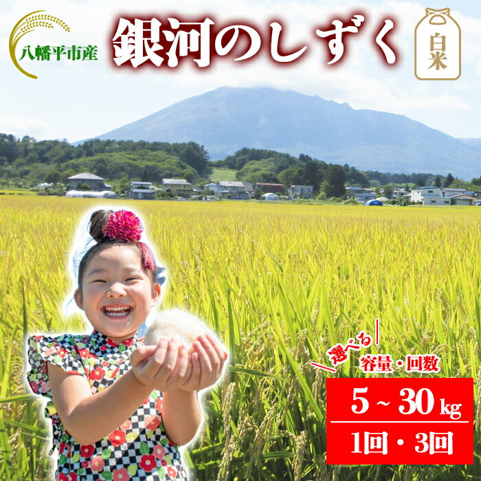 【ふるさと納税】 【令和7年産】【先行予約】 2025年産 岩手県産 米 こめ お米 精米 選べる 発送回数 1回 3回 容量 5kg 10kg 30kg 銀河のしずく ／ 白米 白飯 ご飯 ごはん おこめ ライス 単発便 定期便 おにぎり おすすめ 国産米 東北 岩手県 八幡平市 送料無料 かきのうえ