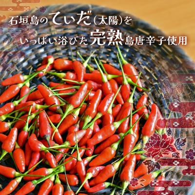 ふるさと納税 石垣市 おばあちゃんの“てぃだくーす”(ねりタイプ)完熟、泡盛仕立て　調味料 |  | 01
