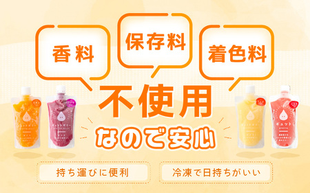 凍らせて食べるりんごゼリー 詰め合わせ（10個入り）[m01-a006]