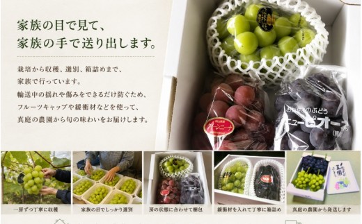 【2026年先行予約】岡山県産ご家庭用ニューピオーネ 2kg ｜ピオーネ 岡山ピオーネ ピオーネ ぴおーね ぶどう 葡萄 ブドウ 果物 フルーツ 種無し 産地直送 農家直送 岡山県 ピオーネ ぶどう 
