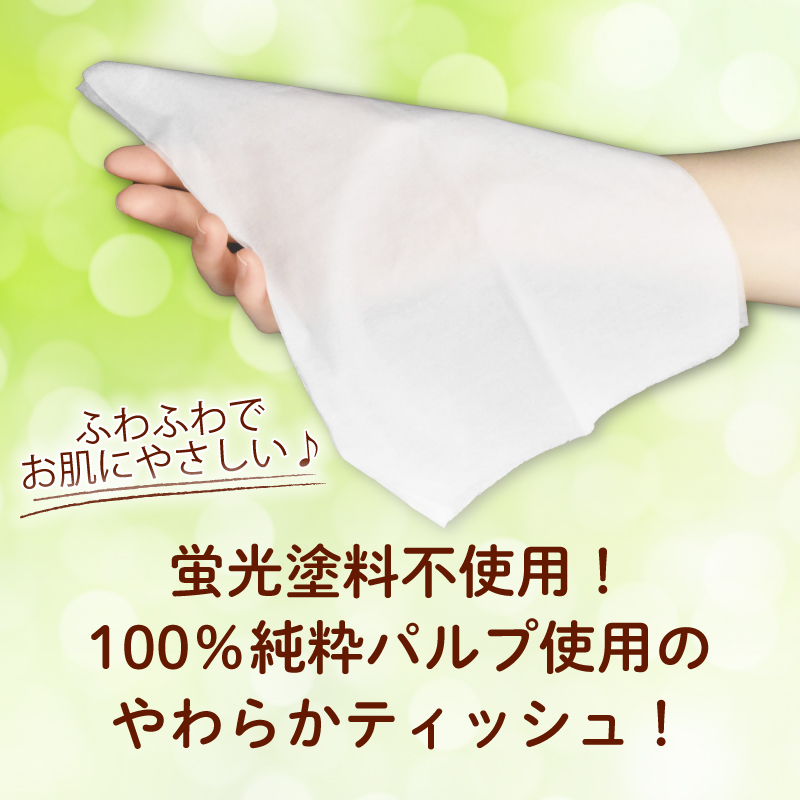 ティッシュ ペーパー ボックス 12箱  柔らかめ  花粉症 日用品 消耗品 防災 備蓄 生活用品  沼津