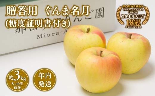 
                  【10~12月発送】 贈答用トキ約3kg（糖度証明書付き）【青森県 平川市 那由多のりんご園】
                
