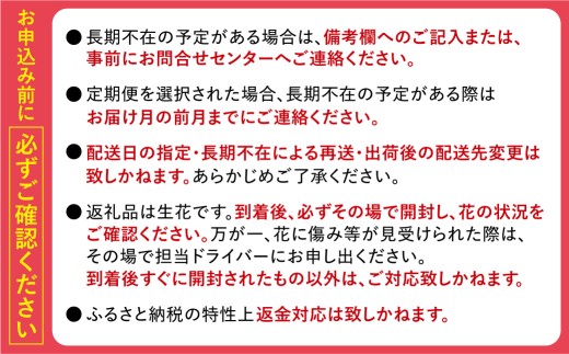 【定期便全6回】季節のフラワーアレンジメントM 【レッド】