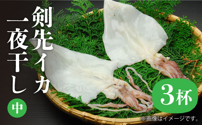 
                  剣先イカ 一夜干（中）3杯《壱岐市》【株式会社マルショウ】[JEW006] いか イカ 剣先いか セット おつまみ 一夜干し 海産物 魚介 刺し身 17000 17000円 海の幸 
                