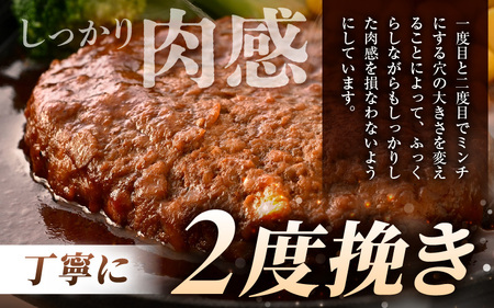 デミグラスハンバーグ 10個入り 簡単調理 ハンバーグ [A-0587]
