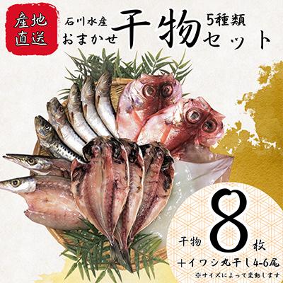 ふるさと納税 横須賀市 横須賀　漁師町佐島　キンメ鯛も入った干物詰め合わせ5種 2人前セット  【石川水産】