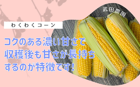 ［武田農園とれたて直送］スイートコーン わくわくコーン 2L 20本 みずみずしく抜群にあまい！北海道 富良野産 (とうもろこし 野菜 新鮮 とうきび 甘い 産地直送 先行予約 限定)