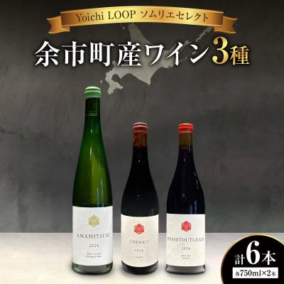 ふるさと納税 余市町 Yoichi LOOP ソムリエセレクト 余市町産ワイン【3種】 6本セット_Y055-0077
