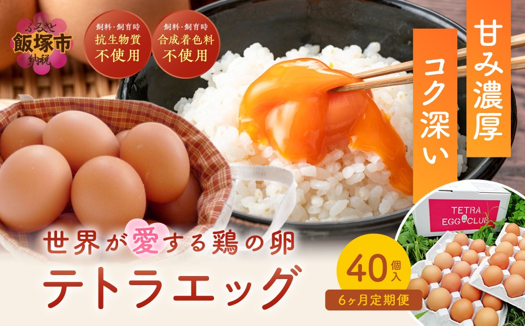 
テトラエッグ（40個/月）【6カ月定期便】【F8-004】
