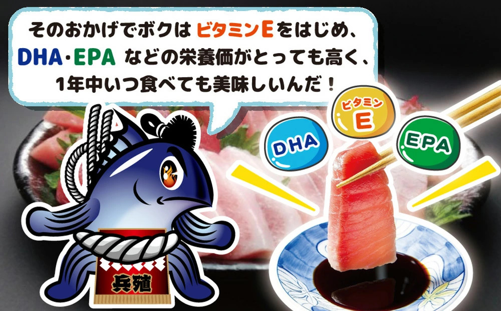 【本マグロ／マグロまるごと1本】豊後まぐろヨコヅーナ 1本分セット | まぐろ1本 マグロ食べ尽くし 本まぐろ 本マグロ 本まぐろ 本鮪 丸ごと 赤身 大トロ 中トロ トロ 刺身 大分県津久見市産【t