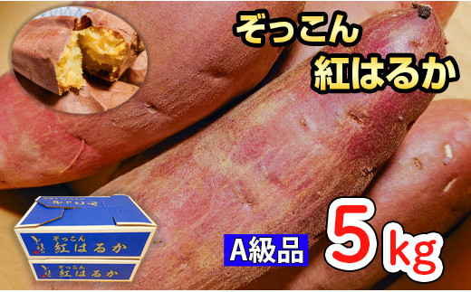 
            ぞっこん 紅はるか A等級 5㎏ 2Lサイズ 産出額 全国 No. 1 茨城 鉾田 さつまいも 干し芋 焼き芋 としまる
          