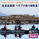 【ふるさと納税】筑波流源湖ヘラブナ釣り回数券（5枚綴り）