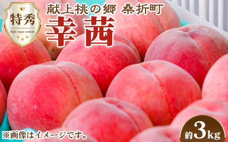 No.140 もも【幸茜・2026年産先行受付】特秀　3kg　桑折町産　JAふくしま未来　桃 ／ モモ 果物 くだもの フルーツ 甘味 果汁 ジューシー 桑折 こおり こおりまち 福島県 特産品