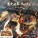 【ふるさと納税】時短 レンジで簡単 焼き魚 生ガサエビ セット 炭火焼き 地元に親しまれる 【惣菜 個装パック 贈答 ギフト 内祝 お礼 お祝 贈り物 レンチン 魚 漬け魚 鮭 エビ おかず 一人暮らし 和食 冷凍食品 真空パック 冷凍】