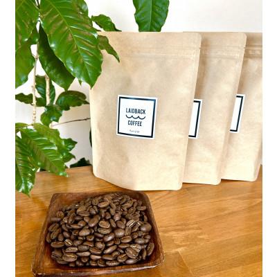 ふるさと納税 宮崎市 レイドバック珈琲の自家焙煎スペシャルティコーヒー シングルオリジン150g×3種セット(豆)