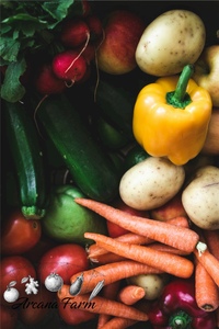 【12回定期便】 こだわりの新鮮野菜セット 8~11品目 | 野菜セット 新鮮 野菜 季節の野菜 おすすめ 高知県 南国市