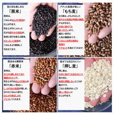 ふるさと納税 豊能町 【白米に混ぜて簡単!】国産 五穀米ブレンド600g(300g×2袋入り) |  | 02