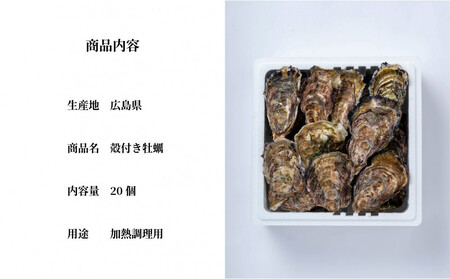 牡蠣　殻付き　２０個（3月限定）